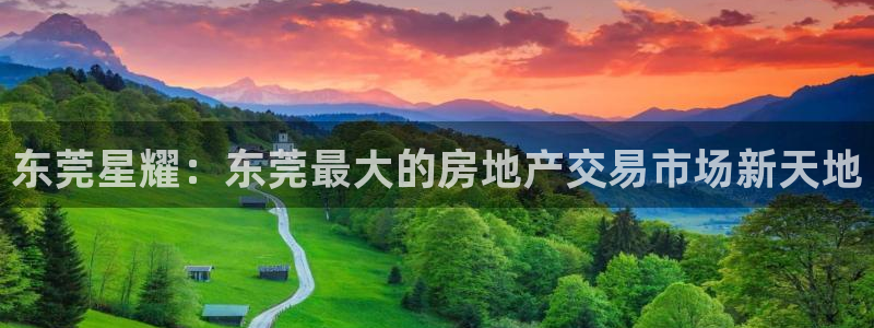 琳琅娱乐网站：东莞星耀：东莞最大的房地产交易市场新天地