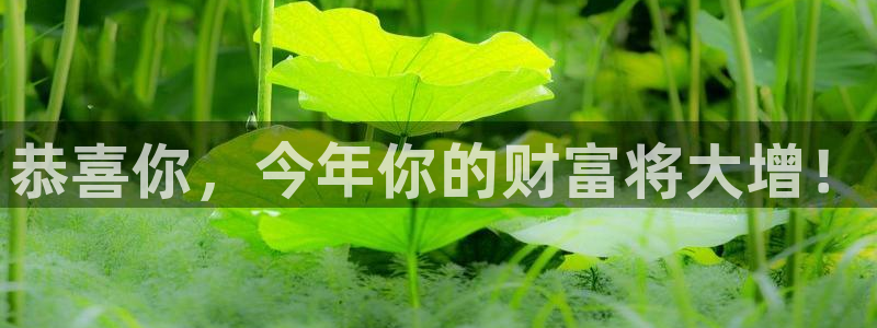 琳琅娱乐下载并安装：恭喜你，今年你的财富将大增！