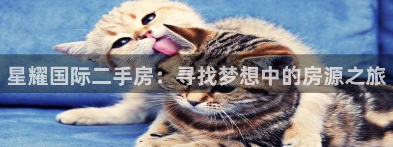 琳琅娱乐app官网下载苹果：星耀国际二手房：寻找梦想中的房源之旅