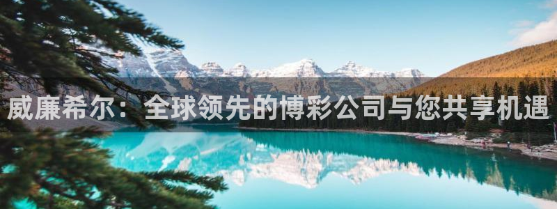 琳琅娱乐是赌博吗：威廉希尔：全球领先的博彩公司与您共享机遇