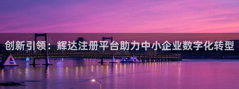 琳琅娱乐-ng大舞台,有梦你就来：创新引领：辉达注册平台助力中小企业数字化转型