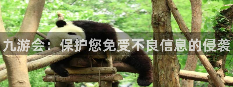 壹号app官网版下载：九游会：保护您免受不良信息的侵袭