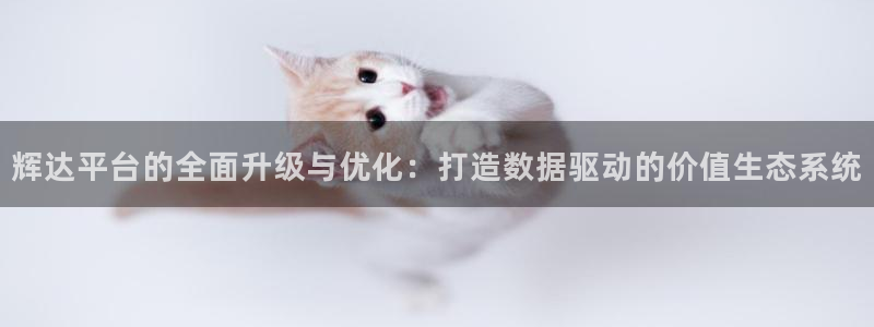 琳琅娱乐app网页入口：辉达平台的全面升级与优化：打造数据驱动的价值生态系统