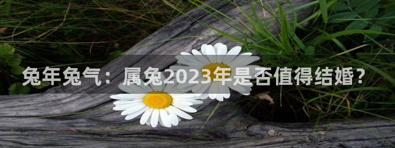 壹号平台下载安装官网：兔年兔气：属兔2023年是否值得结婚？