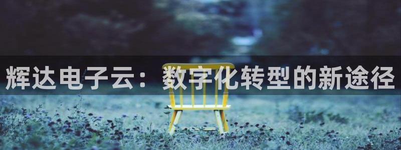 琳琅娱乐ccm麻将胡了：辉达电子云：数字化转型的新途径
