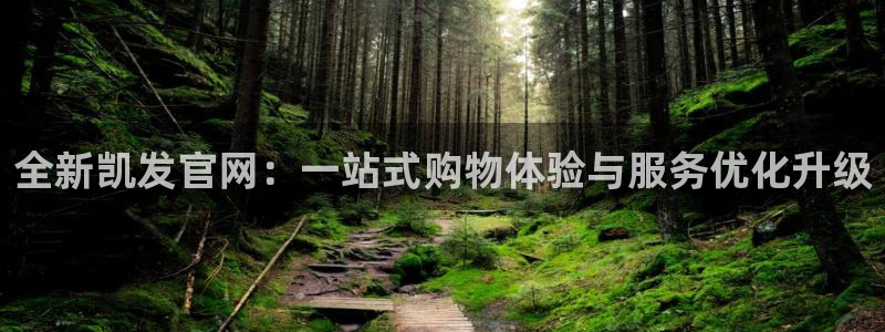 琳琅娱乐科技赋能,让平台更有趣：全新凯发官网：一站式购物体验与服务优化升级