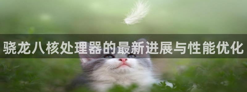 琳琅娱乐下载二维码：骁龙八核处理器的最新进展与性能优化