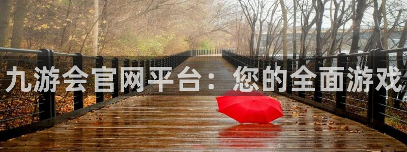 琳琅娱乐是正规平台吗：九游会官网平台：您的全面游戏