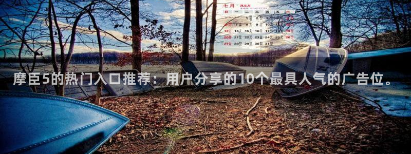 琳琅娱乐账号注册入口：摩臣5的热门入口推荐：用户分享的10个最具人气的广告位。