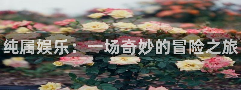 壹号大舞台下载链接：纯属娱乐：一场奇妙的冒险之旅