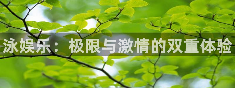 壹号大舞台官网：泳娱乐：极限与激情的双重体验