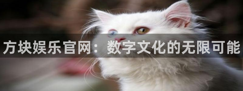 琳琅娱乐.com：方块娱乐官网：数字文化的无限可能