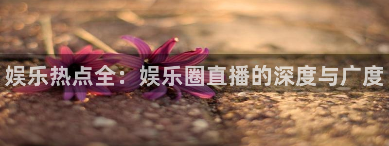 琳琅娱乐有梦你就来：娱乐热点全：娱乐圈直播的深度与广度