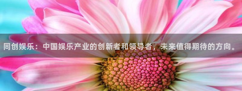 壹号app下载苹果：同创娱乐：中国娱乐产业的创新者和领导者，未来值得期待的方向。