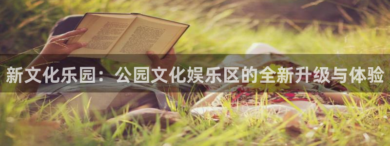 琳琅娱乐网站平台登录：新文化乐园：公园文化娱乐区的全新升级与体验