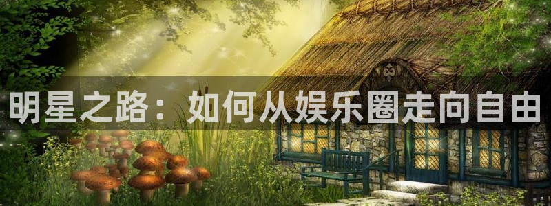 琳琅娱乐下载链接：明星之路：如何从娱乐圈走向自由