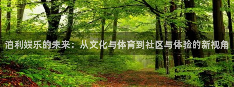 琳琅娱乐电子游戏：泊利娱乐的未来：从文化与体育到社区与体验的新视角