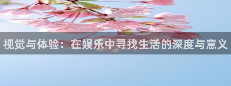 琳琅娱乐网站：视觉与体验：在娱乐中寻找生活的深度与意义